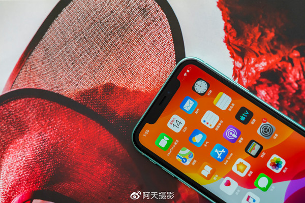 iPhone 11（圖片來(lái)自@阿天拍攝）