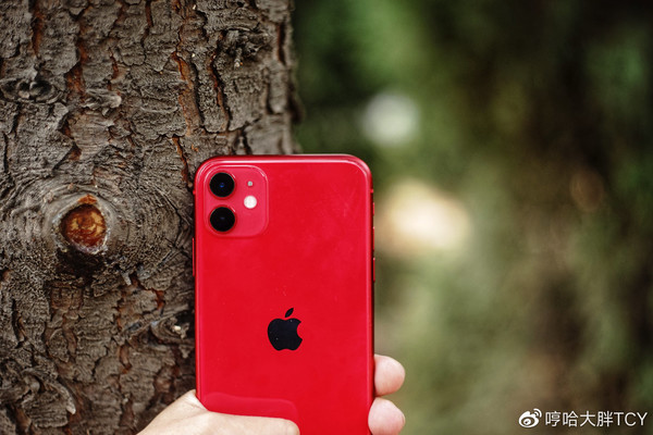 iPhone 11（圖片來(lái)自@哼哈大胖TCY）