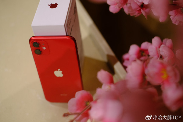 iPhone 11（圖片來(lái)自@哼哈大胖TCY）